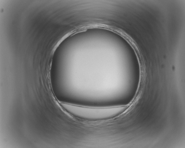 X0000080681385200612150727