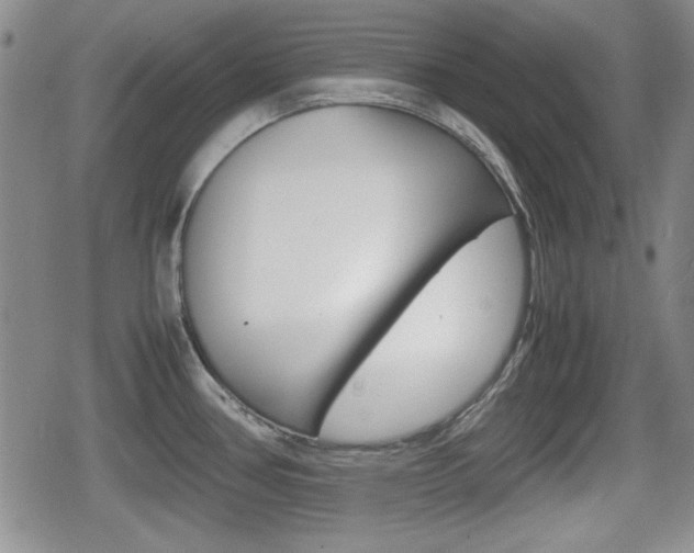 X0000080681386200612150727