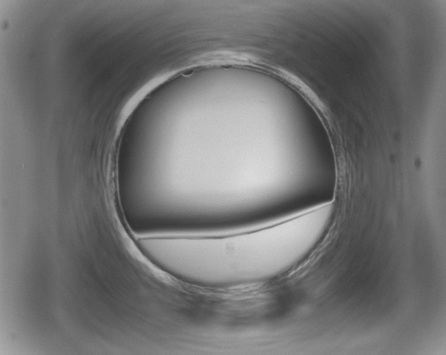 X0000080681387200612150727