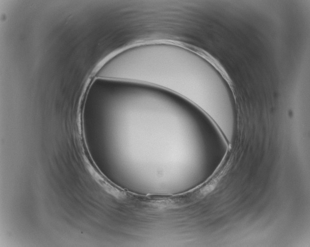 X0000080681388200612150727