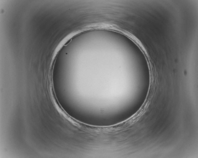 X0000080681389200612150727