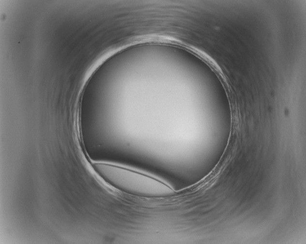 X0000080681391200612150727
