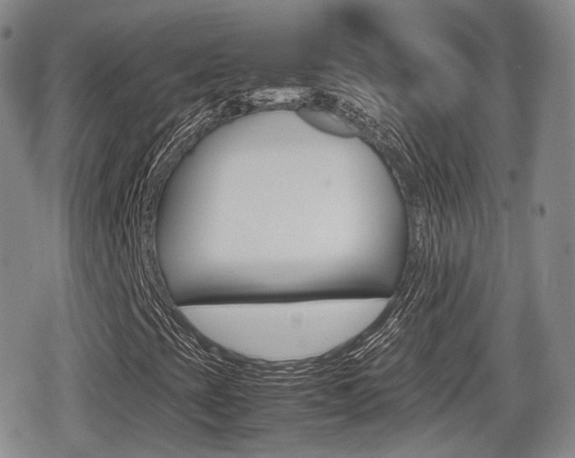 X0000080681393200612150726