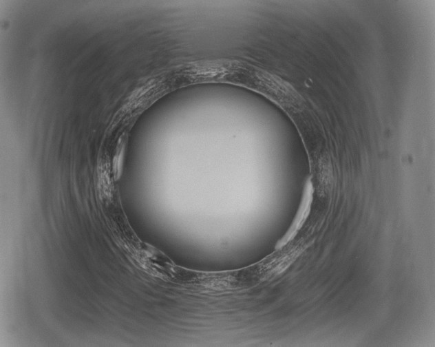 X0000080681394200612150726