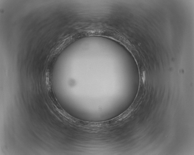 X0000080681396200612150726