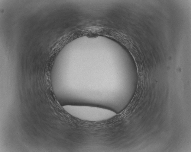 X0000080681397200612150726
