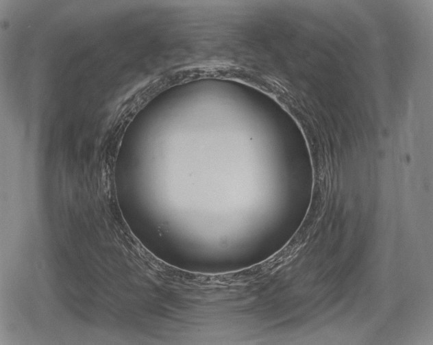 X0000080681398200612150726