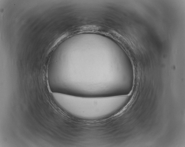 X0000080681401200612150726