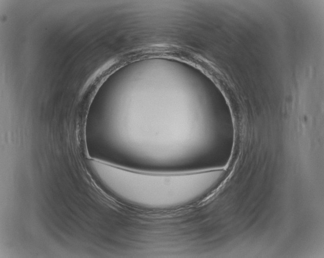 X0000080681402200612150726
