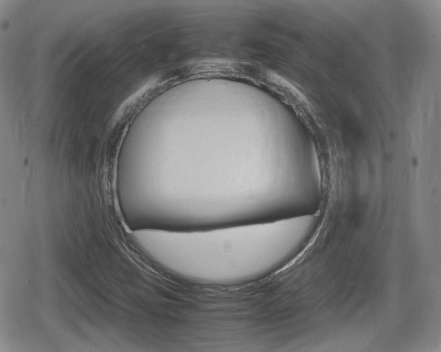 X0000080681403200612150726