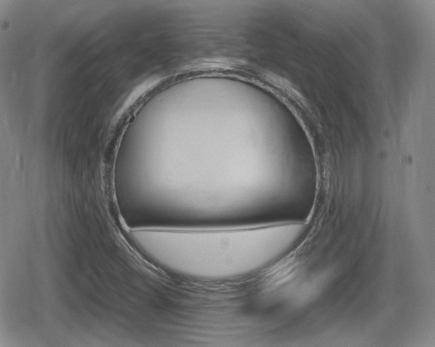 X0000080681404200612150726