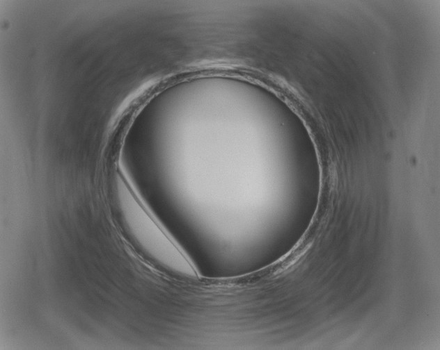 X0000080681406200612150726
