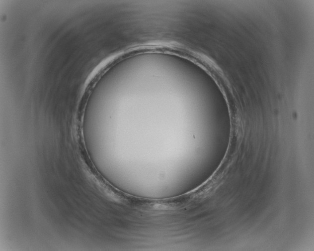 X0000080681412200612150727