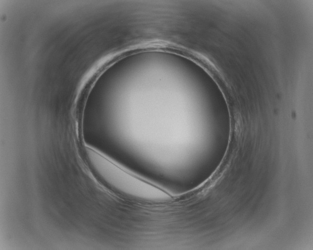X0000080681414200612150727