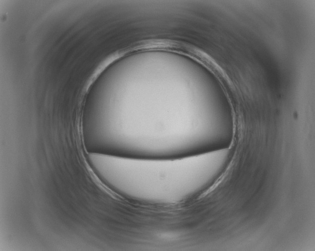 X0000080681417200612150727