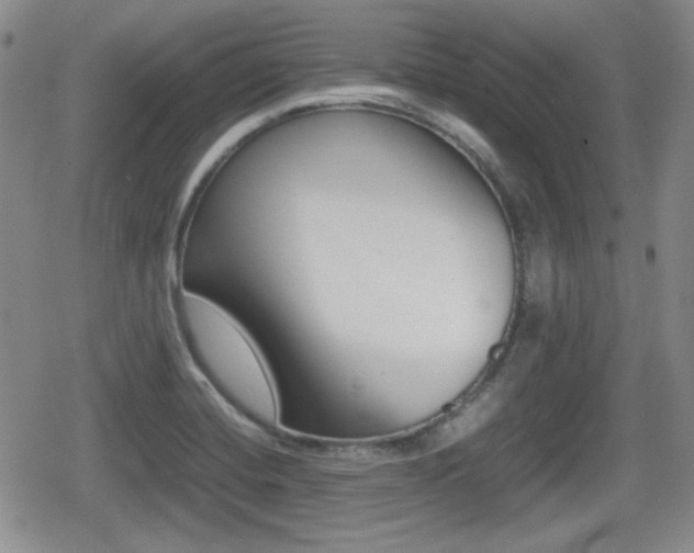 X0000080681420200612150727