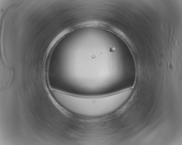 X0000080681426200612150727