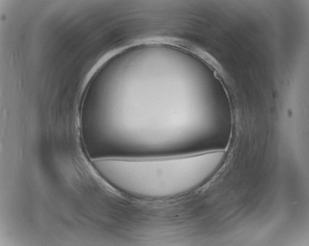 X0000080681428200612150727