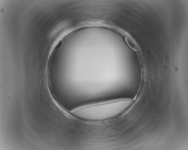 X0000080681432200612150727