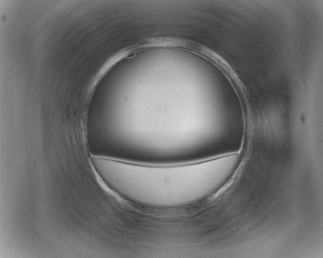 X0000080681433200612150727