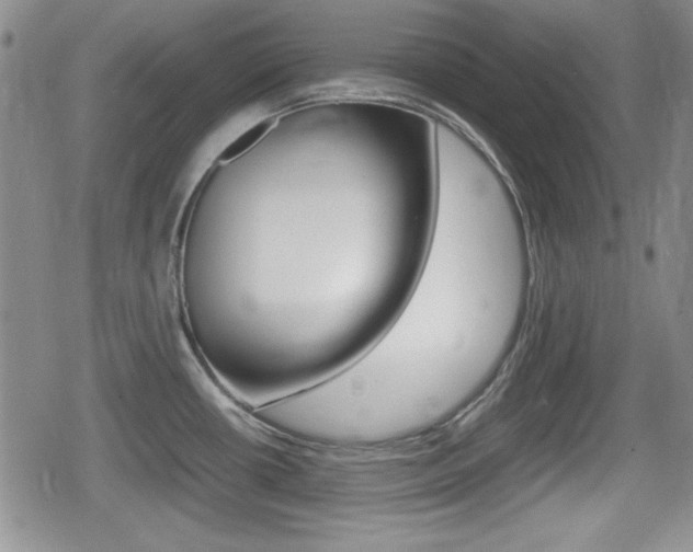 X0000080681434200612150727