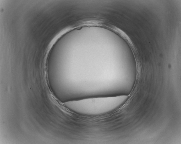X0000080681435200612150727