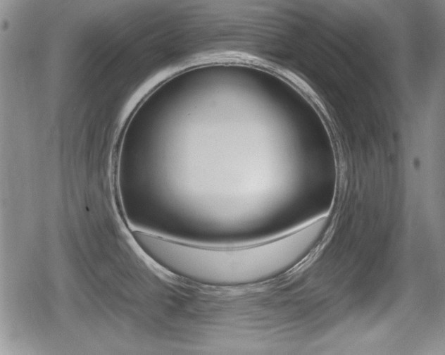 X0000080681438200612150727