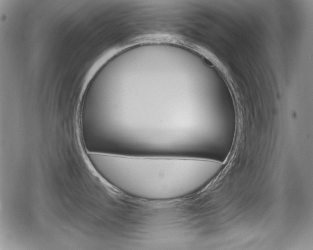 X0000080681440200612150727