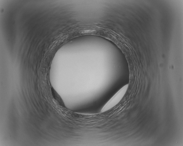 X0000080681441200612150726