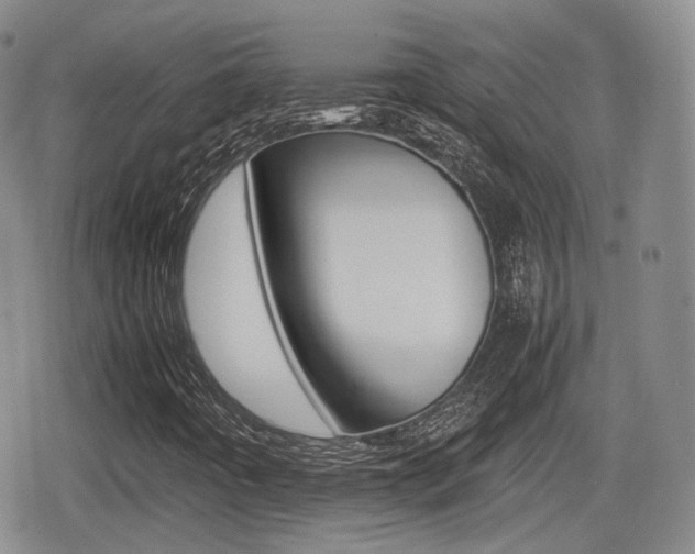 X0000080681442200612150726