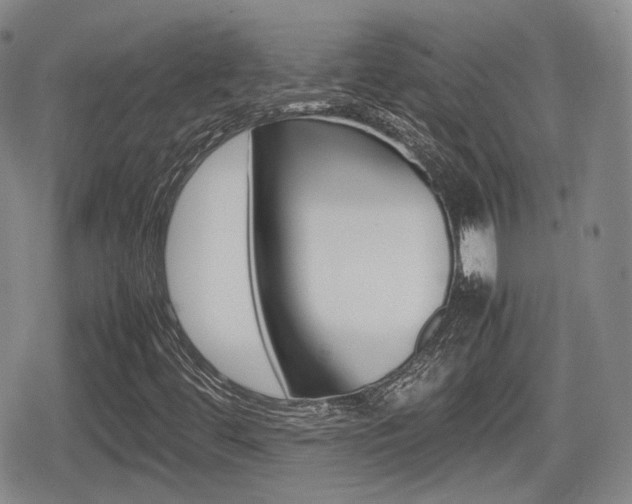 X0000080681444200612150726
