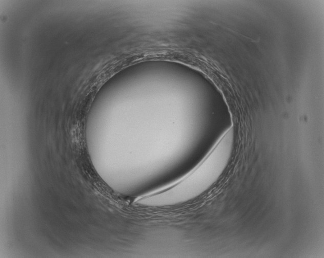X0000080681445200612150726