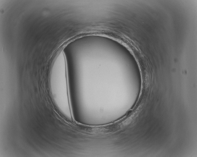 X0000080681449200612150726