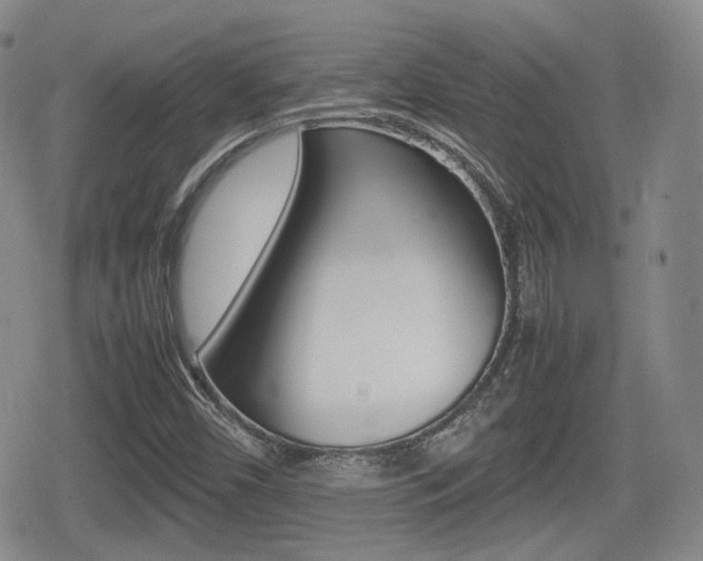 X0000080681450200612150726
