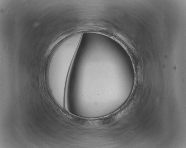X0000080681453200612150726