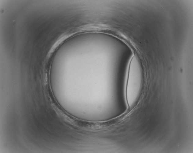 X0000080681459200612150726
