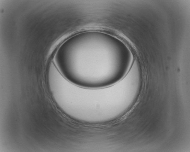 X0000080681461200612150726