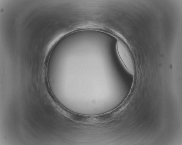 X0000080681463200612150726