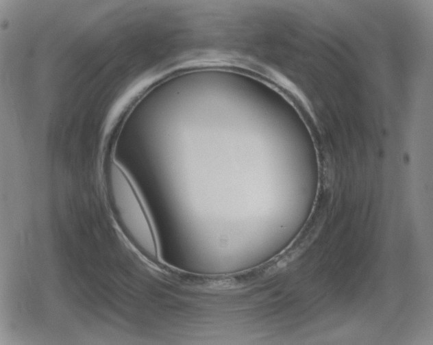X0000080681464200612150726
