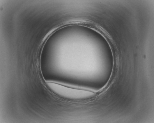 X0000080681465200612150726