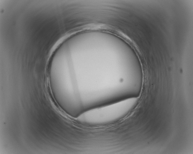 X0000080681467200612150726
