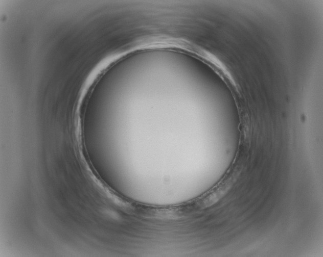X0000080681472200612150726