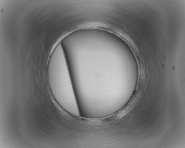 X0000080681473200612150726