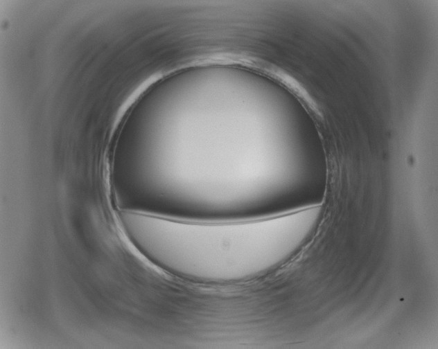 X0000080681476200612150726