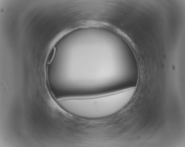 X0000080681479200612150726