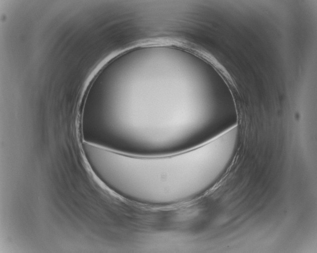 X0000080681484200612150726