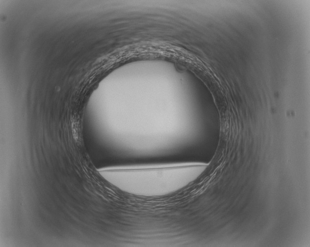X0000080681490200612150725