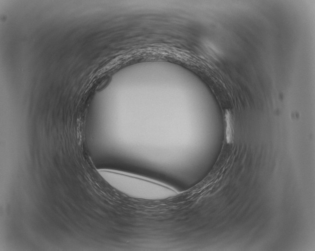 X0000080681491200612150725