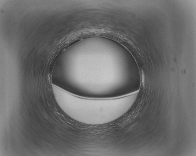 X0000080681492200612150725