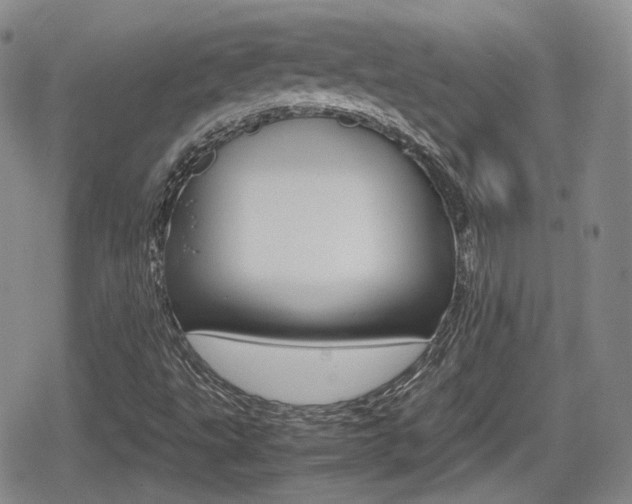 X0000080681495200612150725